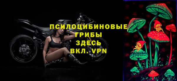 ALPHA PVP Богородицк