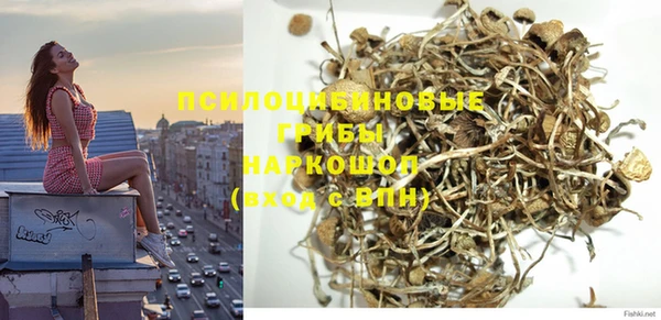 MESCALINE Богданович